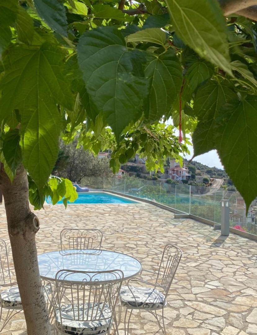 Apollo Romantic Sea View Villa كيفيريون المظهر الخارجي الصورة