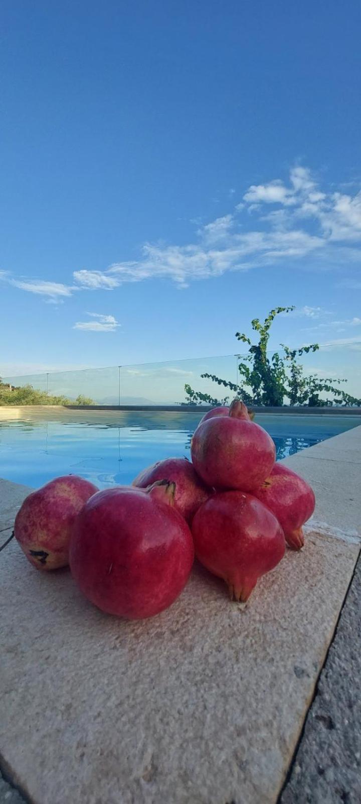 Apollo Romantic Sea View Villa كيفيريون المظهر الخارجي الصورة