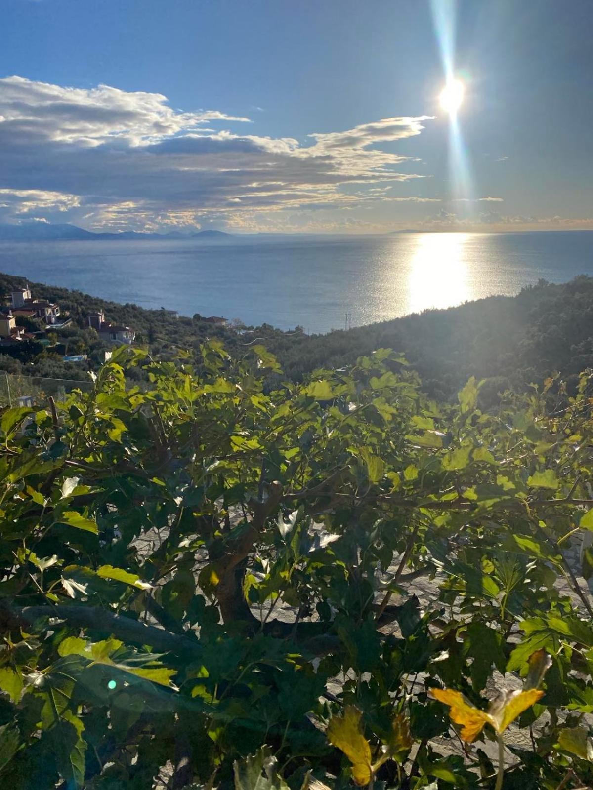 Apollo Romantic Sea View Villa كيفيريون المظهر الخارجي الصورة